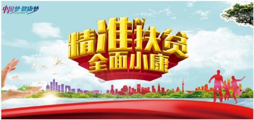 雨后盛放